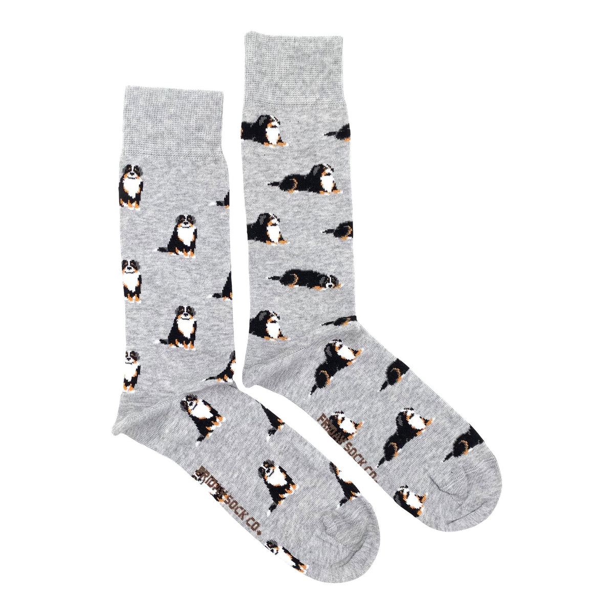 Men's Bernese Mountain Dog Socks | Mismatched Socks | Friday Sock Co.